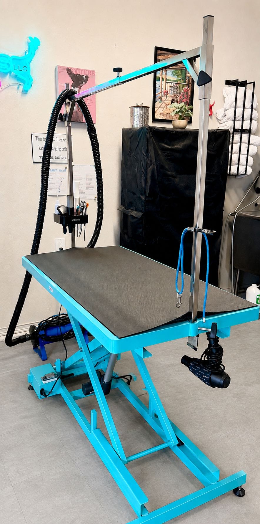 A turquoise hydraulic grooming table with a grooming arm and loop above it, a dryer hose coiled over the arm, and a caddy of shears and combs on the post beside it.